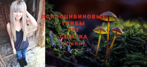первитин Каменск-Шахтинский